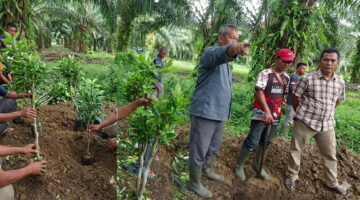 Keadilan Agraria Dipertaruhkan, DPRD Langkat Desak Transparansi Data Lahan dan Legalitas PT LNK